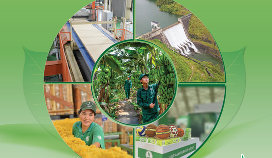 Hiệu quả từ tinh gọn bộ máy, mở rộng dư địa phát triển mới của VRG