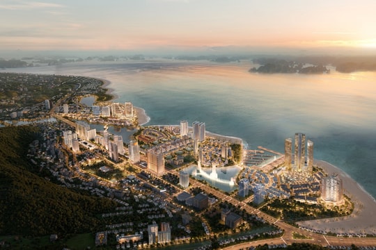 BIM Group - từ chiến lược ‘đi trước’ đến tập đoàn tỷ USD