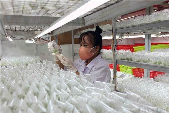 Kích hoạt động lực trụ cột - Bài 3: Khi nguồn lực được 'mở khóa'