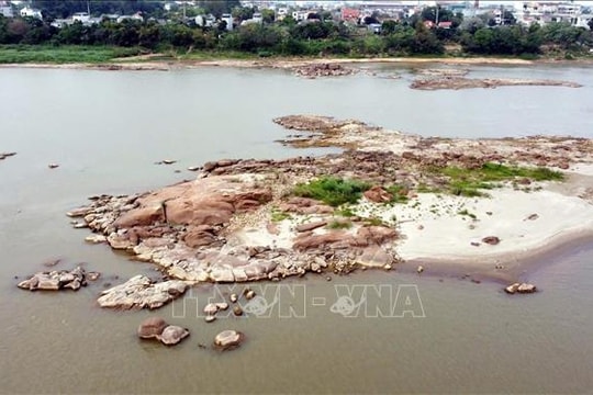 Nước sông Hồng đoạn qua Phú Thọ cạn, tàu thuyền di chuyển khó khăn