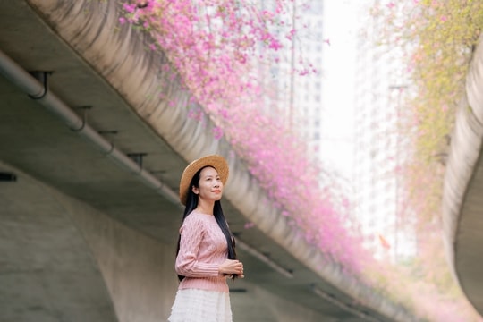 Điểm chụp hoa giấy đẹp như trong tranh gần Hà Nội gây sốt