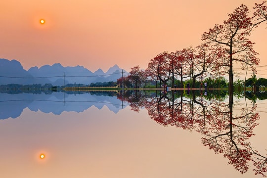 Hoa gạo bung nở nhuộm đỏ vùng quê ngoại thành Hà Nội