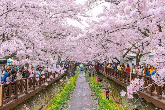 Hàn Quốc dự kiến cấp visa 10 năm cho du khách Việt