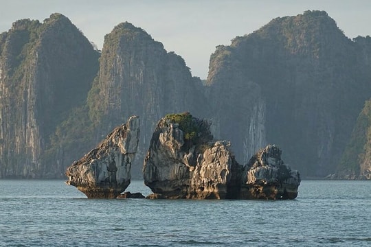 Vịnh Hạ Long sẽ có 10 điểm phát sóng vệ tinh Starlink