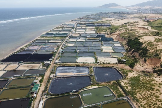 Phạt 2 tỷ đồng nếu để xảy ra sự cố hạt nhân