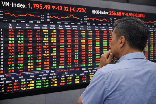 Thị trường ‘xanh vỏ đỏ lòng’, chuyên gia cảnh báo ‘bẫy hưng phấn’