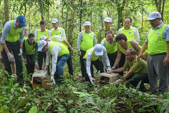 Ngày Quốc tế về Rừng 2026: Khai mở động lực kinh tế địa phương từ rừng