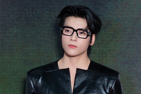 Vĩnh Đam thừa nhận diễn đơ