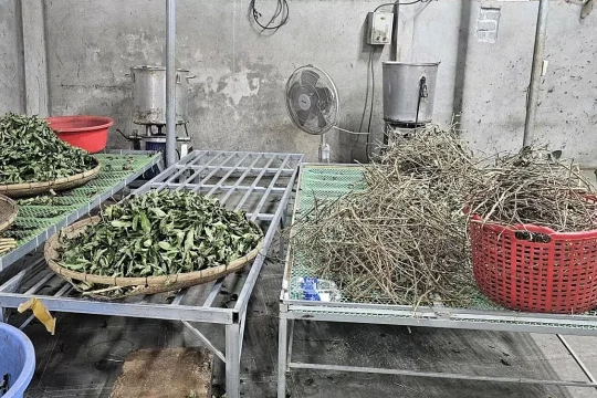 Độc dược núp bóng 'thần y ba đời'