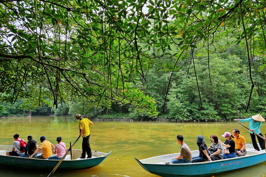 Trải nghiệm nên thử khi đến Cần Giờ