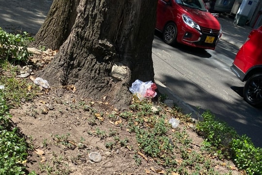 Hai vấn đề khi trồng cỏ trên vỉa hè ở TP HCM