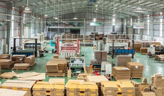 Công ty Công nghệ Bao bì Giấy Tiến Phát: Khẳng Định Vị Thế Dẫn Đầu Ngành In Ấn Carton Tại Việt Nam