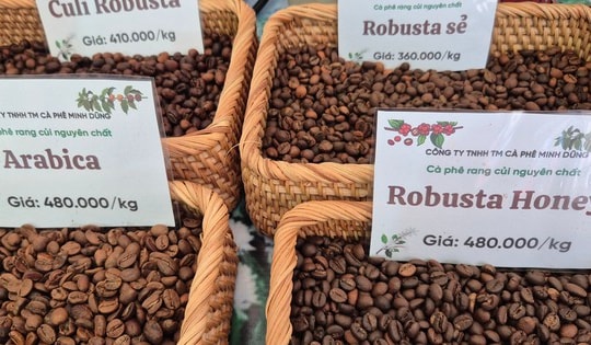 Giá cà phê hôm nay 18-3: Arabica – Robusta đồng loạt tăng, tín hiệu đảo chiều rõ nét