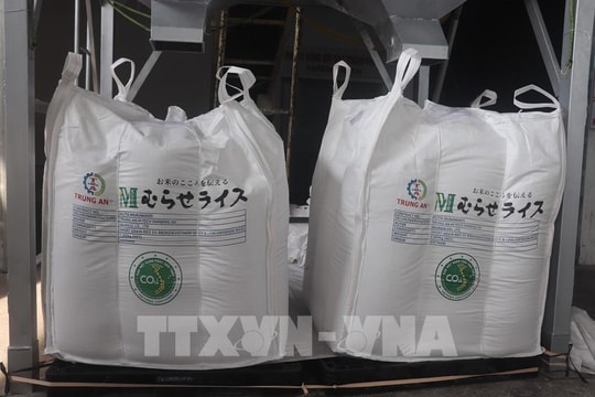 Xuất khẩu xanh: Luật chơi mới của thương mại toàn cầu