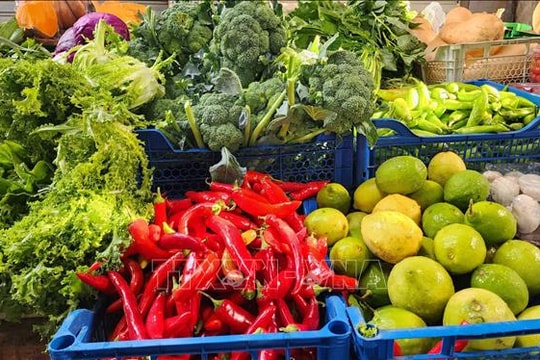 Trung Quốc mở cửa thị trường 1,4 tỷ dân cho nông sản châu Phi