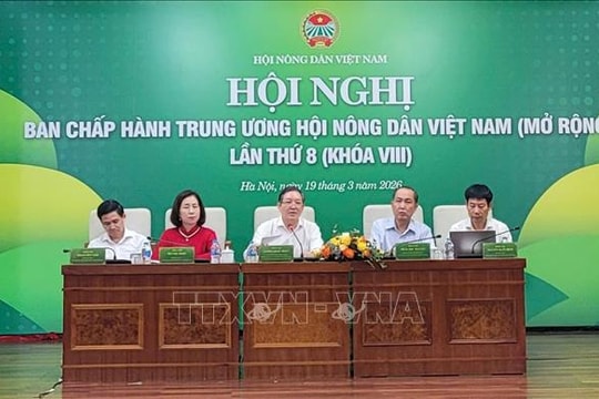 Xây dựng Hội Nông dân đáp ứng cầu đổi mới tổ chức, hoạt động trong bối cảnh tinh gọn hệ thống