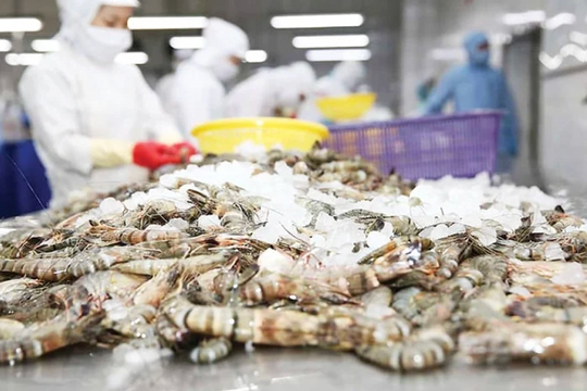 Xuất khẩu tôm sang Mỹ giảm sâu