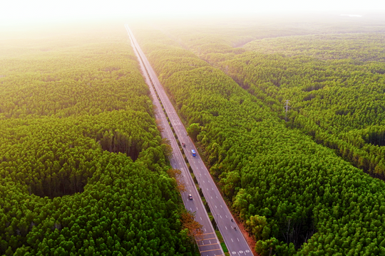 Nơi nào được mệnh danh là 'lá phổi xanh' của TP HCM?