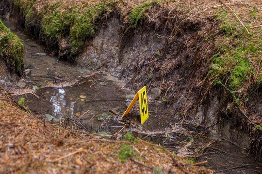 Kẻ sát nhân 'tự chui đầu vào lưới' sau 15 năm ngỡ thoát tội