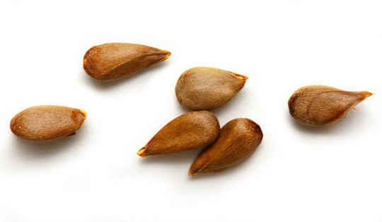 Loại quả ngon mắt nhưng chứa "chất kịch độc", mâm cơm nhà nào cũng có mà không hay