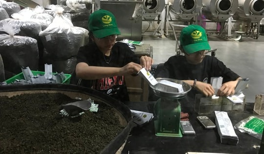 Một lần tới thăm bảo tàng trà ở phố ngàn hoa