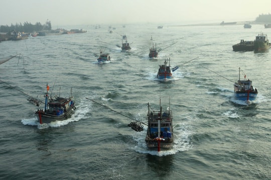 Khắc phục 'thẻ vàng' IUU: Quảng Trị kiểm soát chặt hoạt động tàu cá