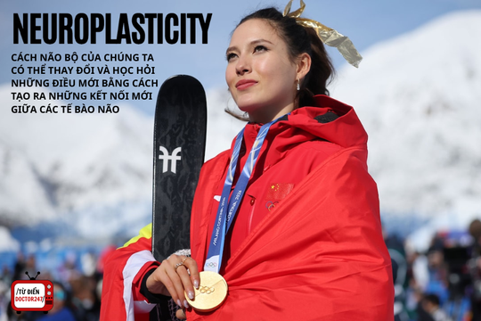 Neuroplasticity: Lợi thế cạnh tranh phía sau thành công của Eileen Gu