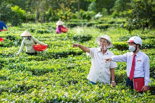 Chiến lược tài chính xanh của Agribank