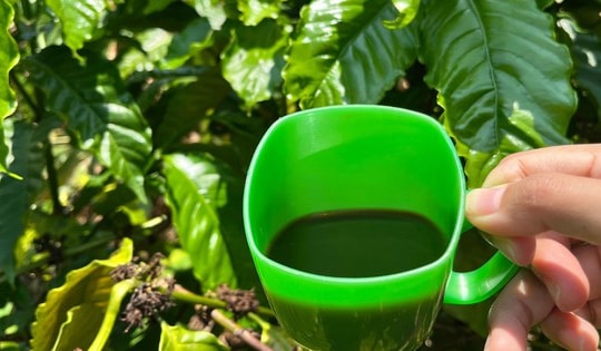 Cà phê rang củi - hương vị mộc mạc từ buôn làng