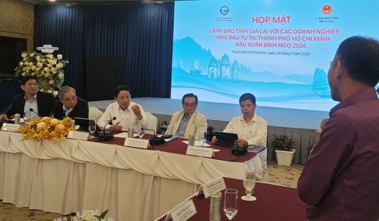 Gia Lai chọn 6 doanh nghiệp quy mô tỉ USD để xây dựng thương hiệu quốc tế