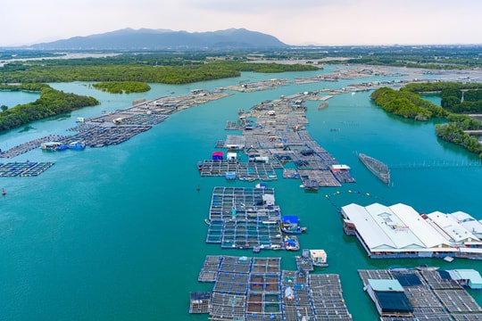 Du lịch TP Hồ Chí Minh chuyển mình nhờ công nghệ số