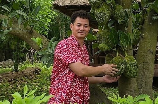 Sở thích làm vườn của nghệ sĩ Xuân Bắc