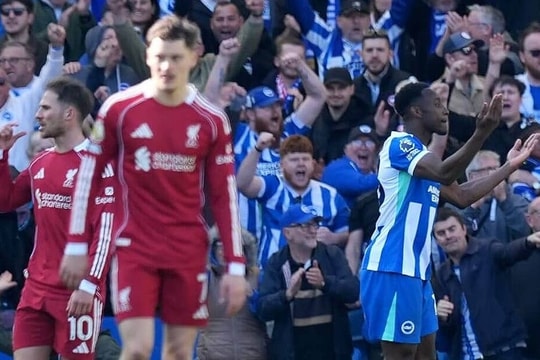 Liverpool thua Brighton, lỡ cơ hội vào top 4
