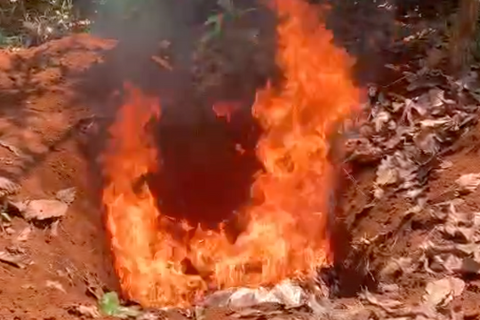 6 người bị chó dại cắn, cách ly hơn 200 con vật