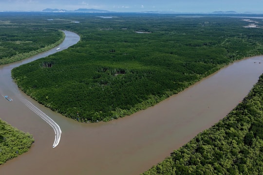 Hệ sinh thái 'có một không hai' tại Cần Giờ