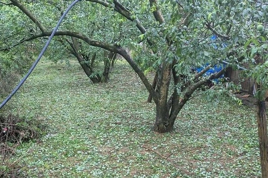 Mưa đá ở Sơn La, Phú Thọ