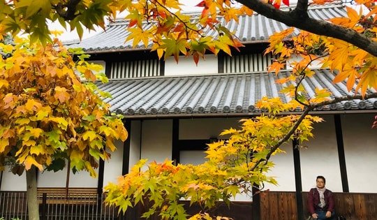 Bình yên Đông Kinh