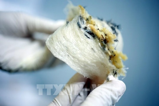 Doanh nghiệp xuất khẩu thực phẩm cần lưu ý quy định đăng ký mới của Trung Quốc