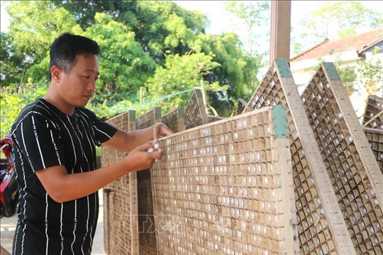 Khát vọng khôi phục nghề truyền thống và phát huy giá trị văn hóa của người trẻ