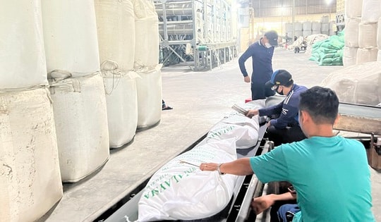 Ổn định thị trường lúa gạo