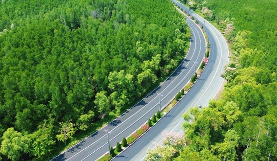 Một tuyến đường đang "đốn tim" giới trẻ TPHCM