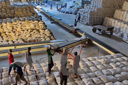 Tạo điều kiện thúc đẩy xuất khẩu gạo