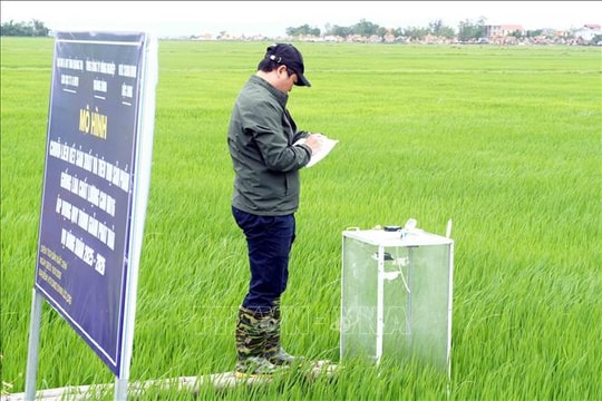 Liên kết sản xuất nông nghiệp bền vững - Bài 1: Tạo động lực nâng cao hiệu quả sản xuất