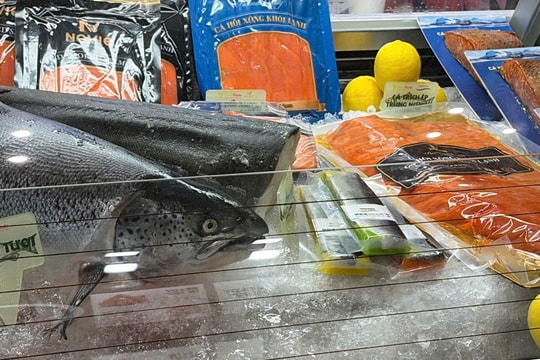 Triển lãm FHV quốc tế khuấy động thị trường thực phẩm và đồ uống tại TP Hồ Chí Minh