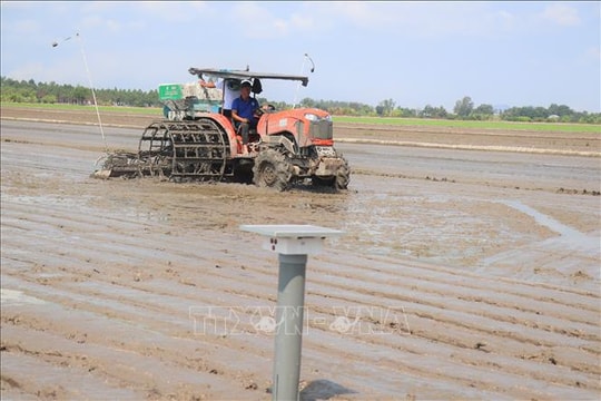 Đề án 1 triệu ha lúa: Hiệu quả bước đầu từ thực tiễn đồng ruộng