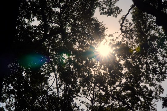 TP Hồ Chí Minh nắng nóng có xu hướng tăng trên diện rộng, tia UV ở mức cao