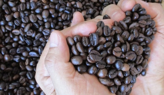 Giá cà phê hôm nay 24-3: Hạ nhiệt