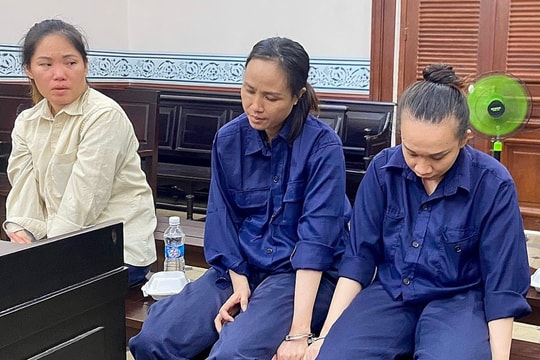 Thu tiền tỷ để tổ chức 'đẻ thuê' ở TP HCM