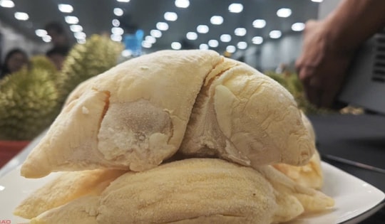 Sầu riêng Ri 6 Việt Nam áp đảo chợ châu Á ở Mỹ