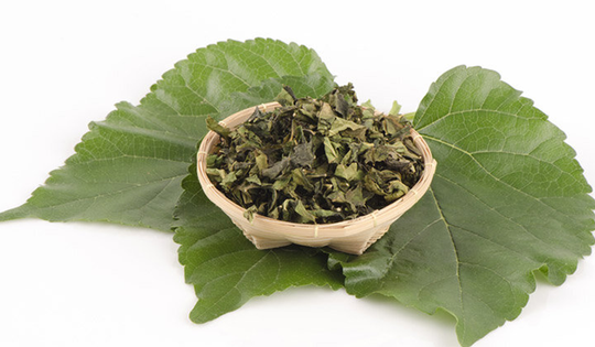 Đừng chỉ ăn quả, lá cây này quý như "nhân sâm của người nghèo", đang vào mùa đi chợ là thấy